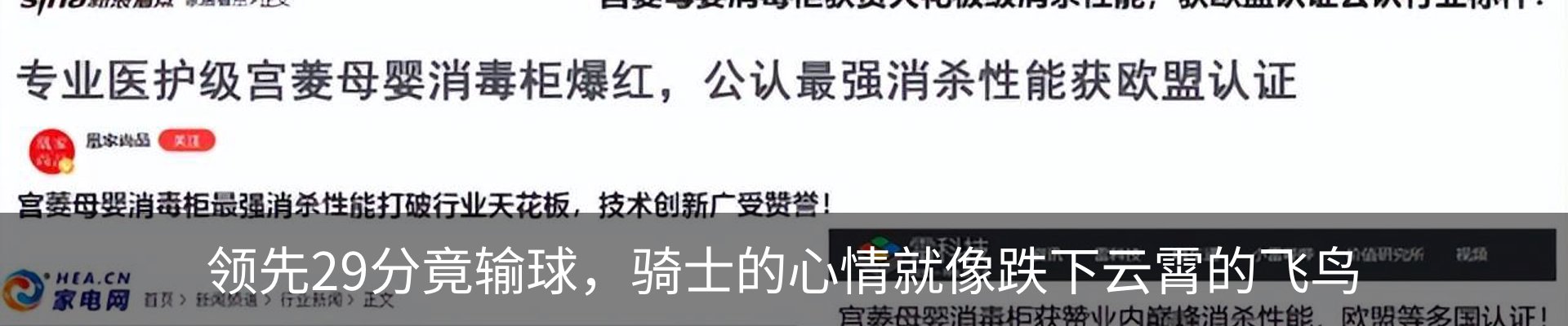新闻动态